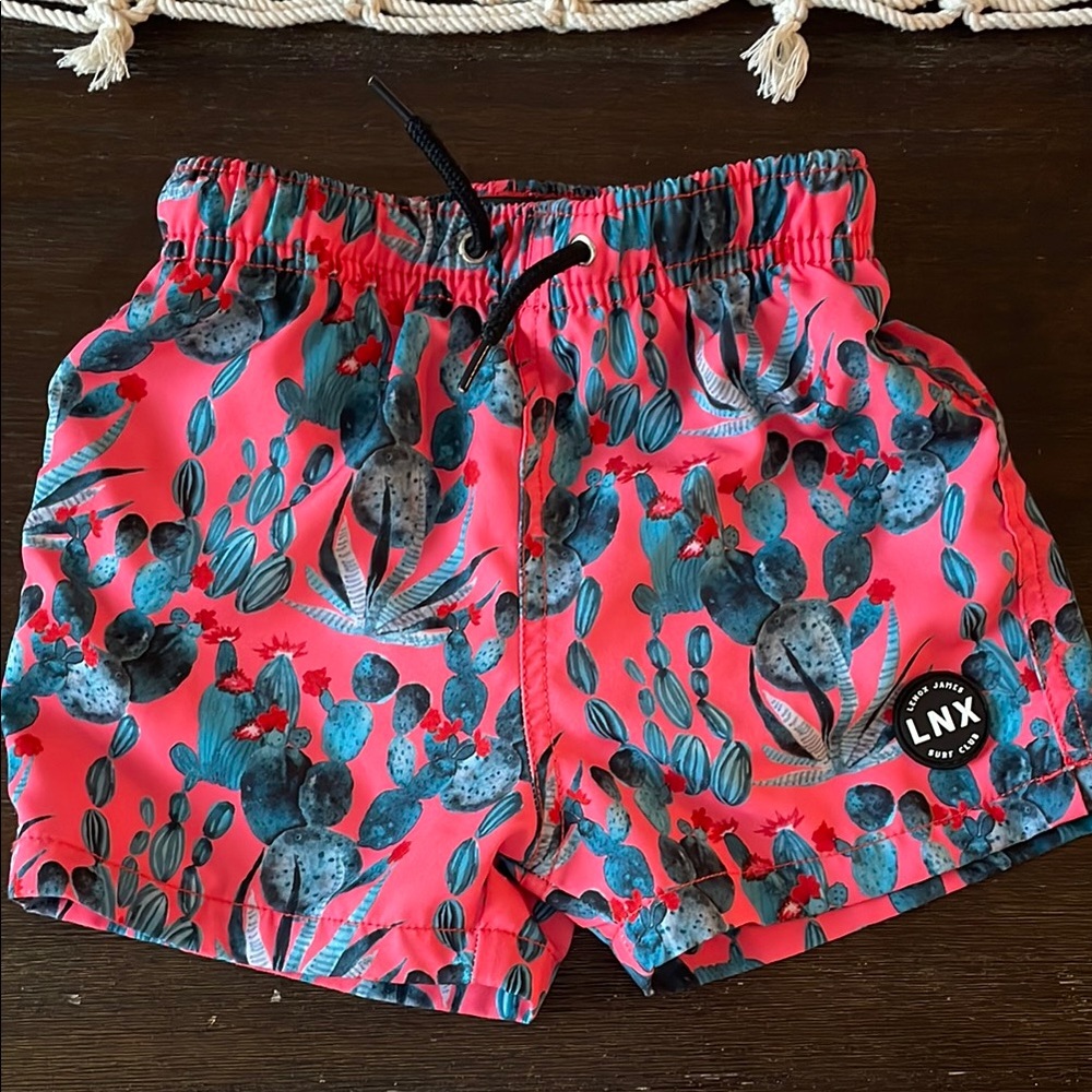 Lenox James Cactus Print Swim Shorts
